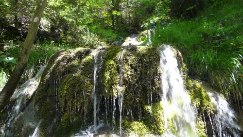 a waterfall in the middle of a forest at Emma's B&B - Self Check-in Hotel in Lungern