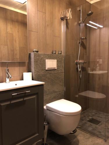 a bathroom with a toilet and a shower at Norefjell Panorama in Noresund