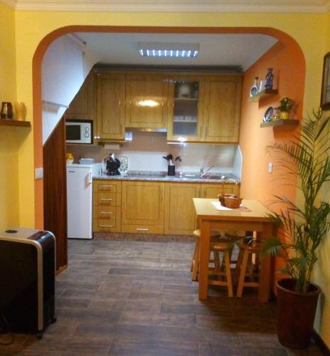 a kitchen with wooden cabinets and a table with a plant at Casa da Fonte in Peso da Régua
