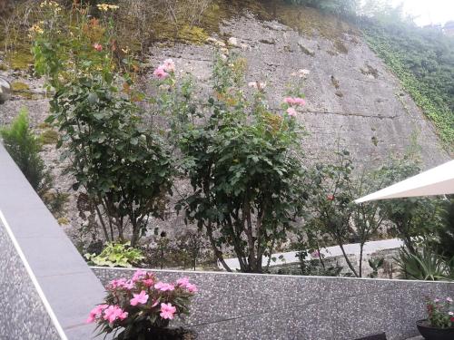 a garden with pink flowers on a stone wall at Il Roseto in Frosinone