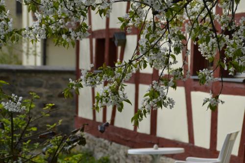 Κήπος έξω από το Romantisches Bed&Breakfast Apfelstern