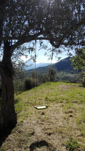 a swing hanging from a tree in a field at L'Opuntia sul lago in Caccamo