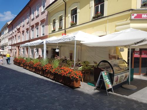 Photo de la galerie de l'établissement Apartments Fazarinc, à Celje