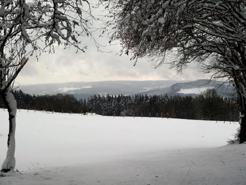 a snow covered field with trees and mountains in the distance at B&B Chambre d'hôtes de la Vecquée in Stoumont