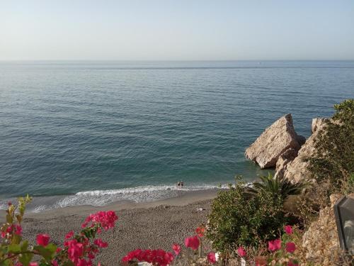 a beach with pink flowers and the ocean at Casa Eva - Adults Only in Nerja