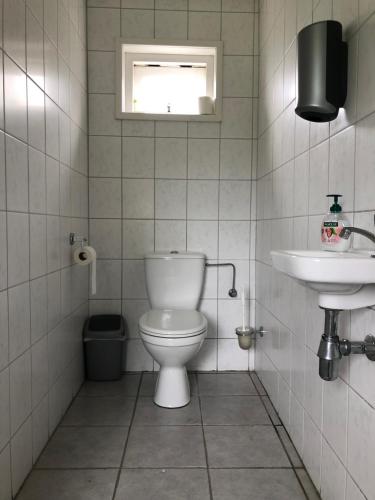 a bathroom with a toilet and a sink at Trekkershut/kampeerhut in Hulst