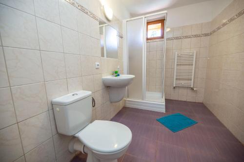 a bathroom with a toilet and a sink at penzion Hamerská Jizba in Nové Hamry