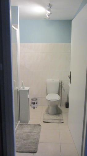 CholoyにあるGîte du Guéの青い壁のバスルーム(トイレ付)
