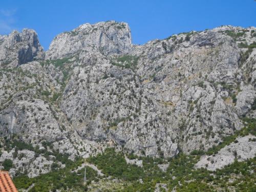 a large mountain with trees in front of it at Villa Aronija in Kotor