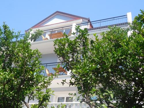 a white building with trees in front of it at Villa Aronija in Kotor