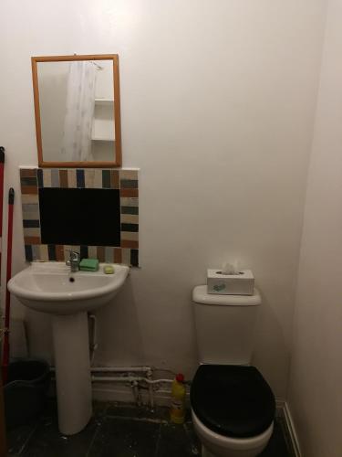 a bathroom with a sink and a toilet and a mirror at Budget Double Bedroom Near Glasgow City Centre and West End in Glasgow