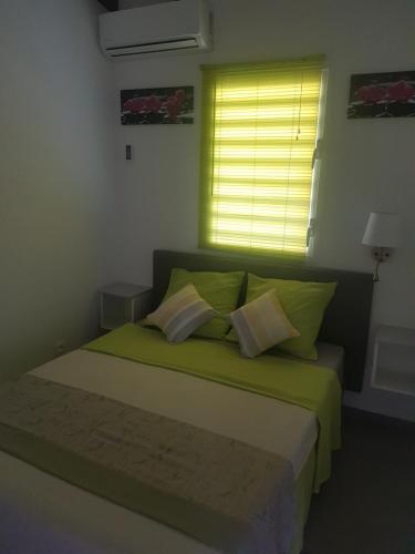 a bedroom with a green bed with a window at L'Alizée in Sainte-Rose