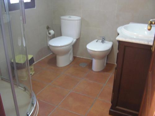 a bathroom with a toilet and a sink and a shower at Apartamento Rural Albus Albi in Colmenar del Arroyo