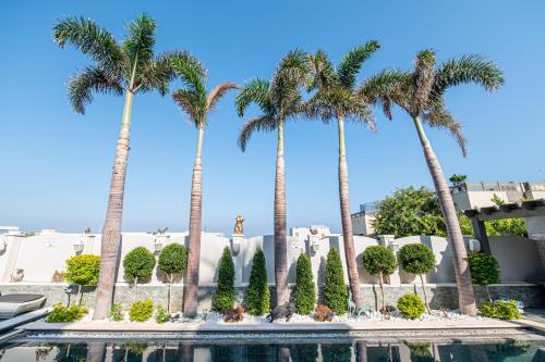 a group of palm trees next to a swimming pool at sul mare סוויטות in Ashqelon