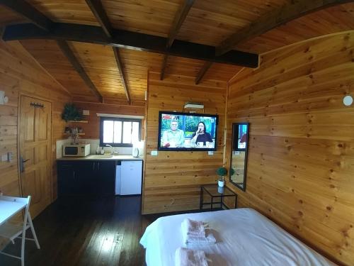 AẖihudにあるAssaf's place - המקום של אסףのログキャビン内のベッドとテレビ付きの部屋