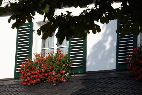 a window with green shutters and flowers on a building at Landhotel Halbfas-Alterauge in Drolshagen
