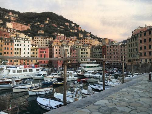 a bunch of boats docked in a harbor with buildings at B&B Casetta del Marinaio in Camogli