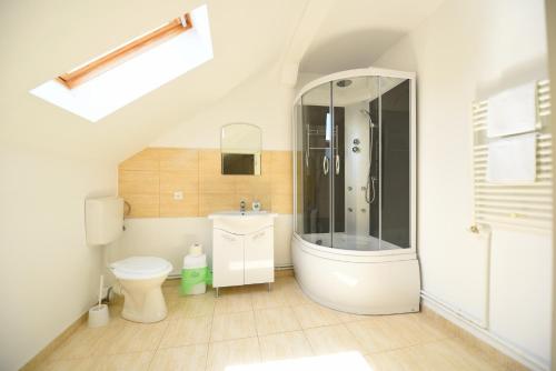 a bathroom with a shower and a toilet and a sink at Casa Daria in Haţeg