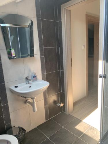a bathroom with a sink and a mirror and a shower at Apartmánový dom Magda in Vrbov