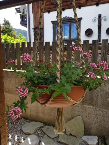 a hanging planter with flowers in a garden at Appartement Königslehen in Radstadt