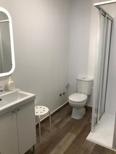 ein Badezimmer mit einem WC, einem Waschbecken und einem Spiegel in der Unterkunft Cazal d'Oliveira in Granja