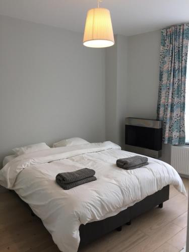 Postel nebo postele na pokoji v ubytování SPACIOUS HOUSE with GARDEN close to BRUSSELS EXPO!