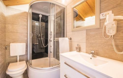 een badkamer met een douche, een toilet en een wastafel bij Kuća za odmor Mila in Tuheljske Toplice