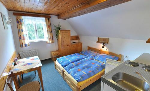 ein kleines Schlafzimmer mit einem Bett und einem Waschbecken in der Unterkunft Pension Dita - Adršpach in Teplice nad Metují