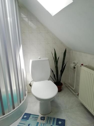 a white bathroom with a toilet and a plant at Privat Kovacova in Žiar