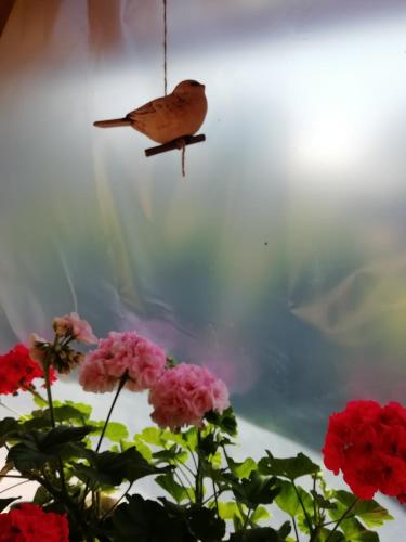 a bird perched on a bird feeder above flowers at Privat Kovacova in Žiar