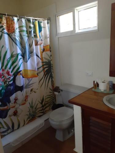 a bathroom with a toilet and a shower curtain at Villa Carolina Bed and Breakfast in San Felipe de Puerto Plata