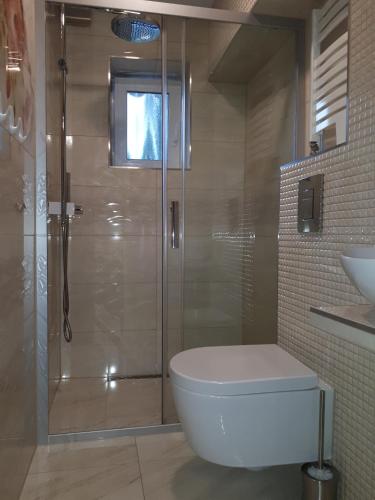 a bathroom with a shower with a toilet and a sink at Lawendowy Zakątek - Agroturystyka in Lewin Kłodzki