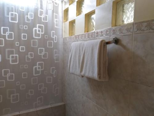a bathroom with a shower with a white towel at Hotel Sumaq Inn Sac in Lima