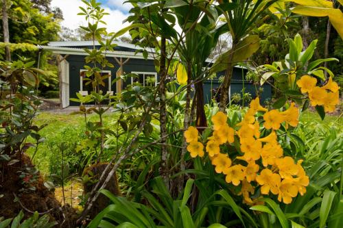 a garden with yellow flowers in front of a house at Hale 'Ohu Bed & Breakfast in Volcano