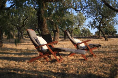 two chairs sitting in a field next to trees at Pietraluce in Alberobello