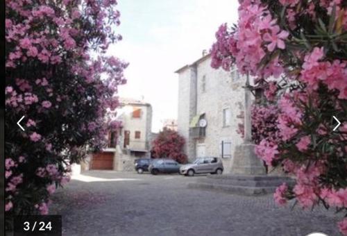 a street with cars parked in a parking lot with pink flowers at Ruoms Petite Maison 3* centre-village in Ruoms