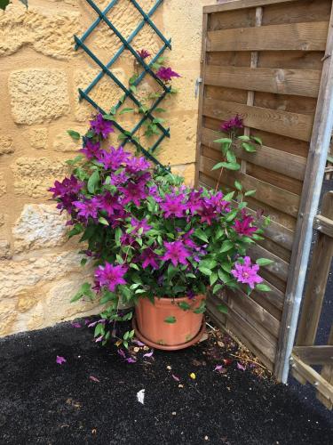 Entre Lot et Dordogne – Photos 2