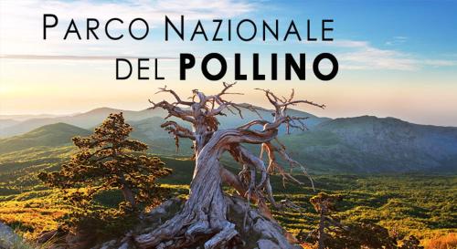 a tree on top of a mountain with the words papago natalle del at KATOQI - Casa turistica nel Parco del Pollino - Basilicata in San Paolo Albanese