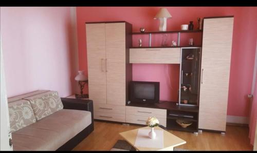 ein Wohnzimmer mit einem Sofa und einem TV in der Unterkunft Apartman Luka in Sokobanja