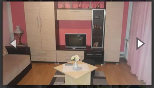 ein Wohnzimmer mit Sofa und Fernseher in der Unterkunft Apartman Luka in Sokobanja