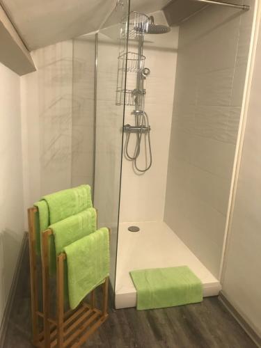 a shower with green towels in a bathroom at Maison des Ingénieurs in Molières-sur-Cèze