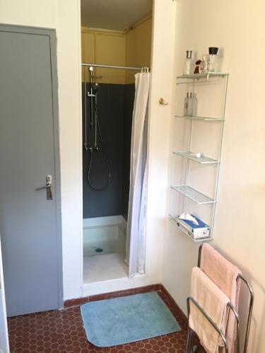 une salle de bain avec une douche avec une porte vitrée dans l'établissement Leis Arbouso, à Lorgues