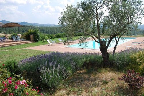 una piscina con un árbol y algunas flores en La Casa Di Piandelbello, en San Venanzo