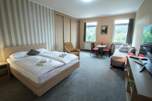 um quarto de hotel com uma cama e uma sala de estar em 4family *RESORT*SPA* em Szklarska Poręba