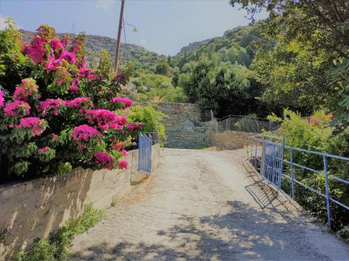 Gallery image of Palaiopoli View Studio in Palaiópolis
