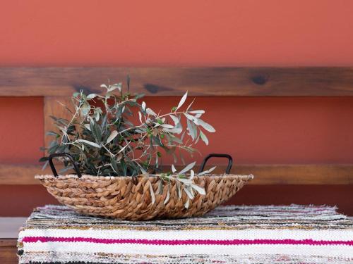 Imagen de la galería de Agapi's Home, en Roussospítion