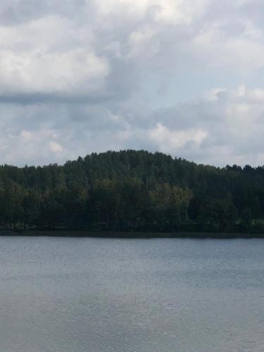 a large body of water with trees in the background at Paukoje Apartamentai in Ignalina