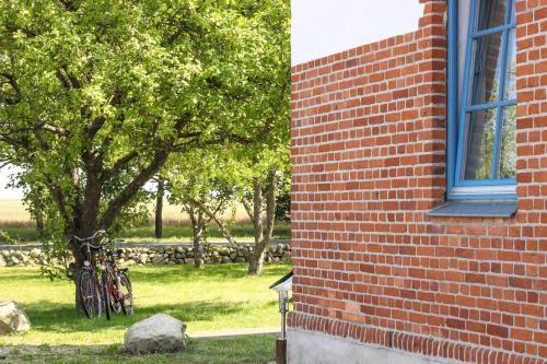 ein Backsteingebäude mit einem Baum und Fahrrädern daneben. in der Unterkunft Ferienwohnungen Ostseestern in Rakow