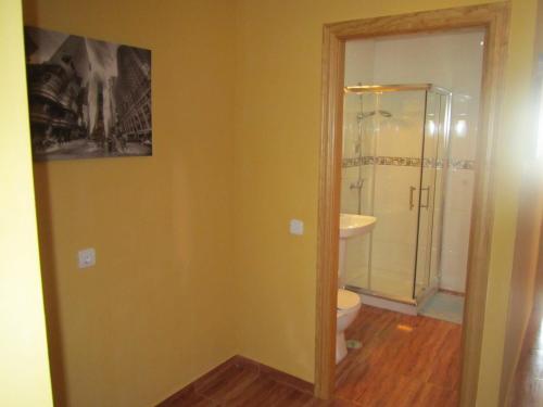 a bathroom with a toilet and a glass shower at Apartamentos Venta Don Quijote in Almagro