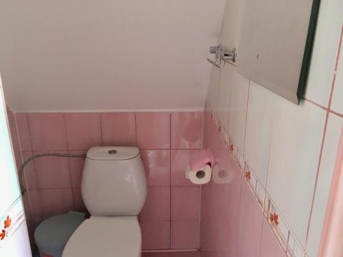 a pink bathroom with a toilet and a roll of toilet paper at Pokoje u Bożeny i Zbyszka in Lipie
